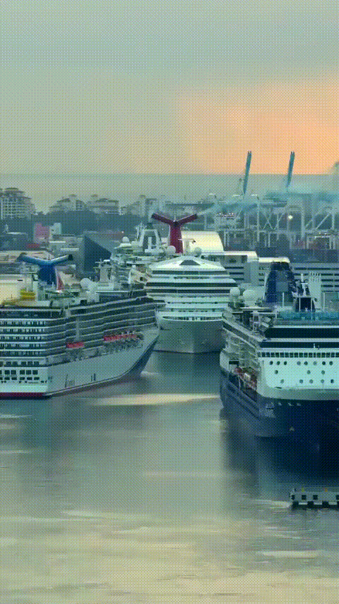 Daily Gifdump Daily Gifdump