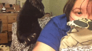 Daily Gifdump Daily Gifdump