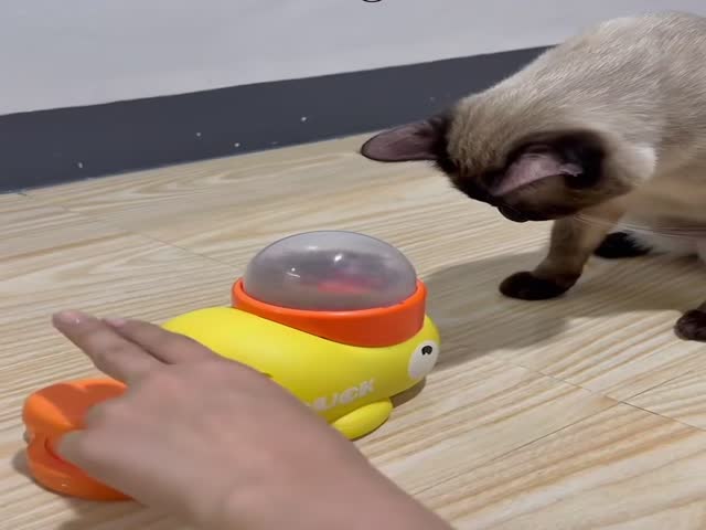 Fast Learner