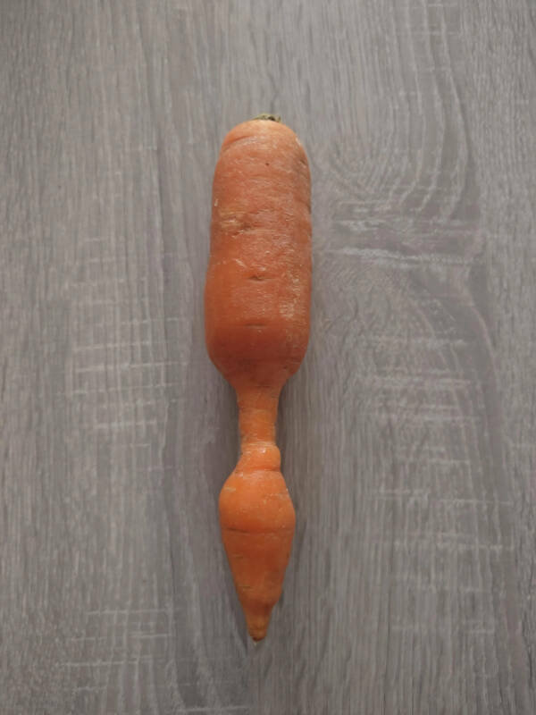 Cool Shots That Deserve a Closer Look