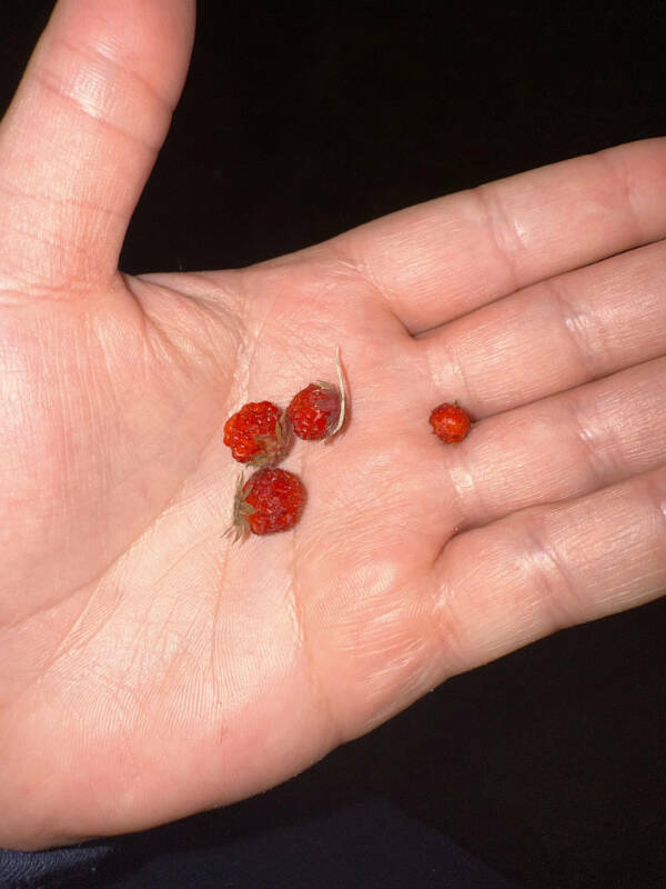 Cool Shots That Deserve a Closer Look