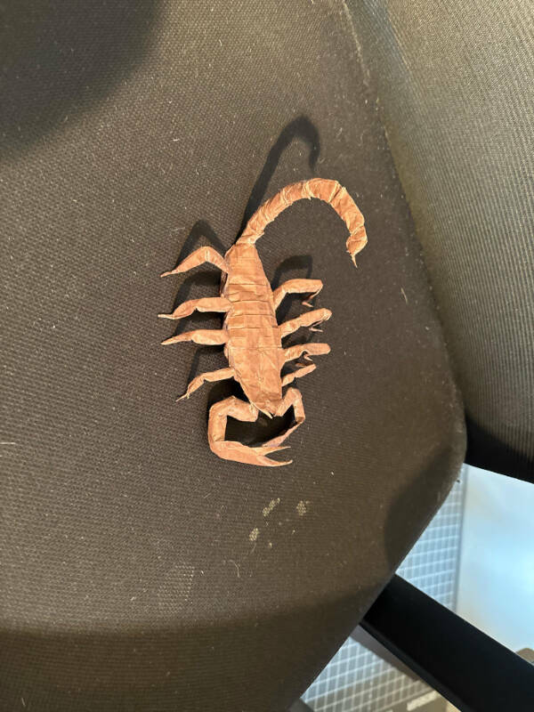 Cool Shots That Deserve a Closer Look