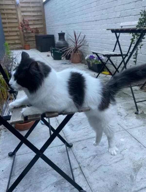 Cool Shots That Deserve a Closer Look