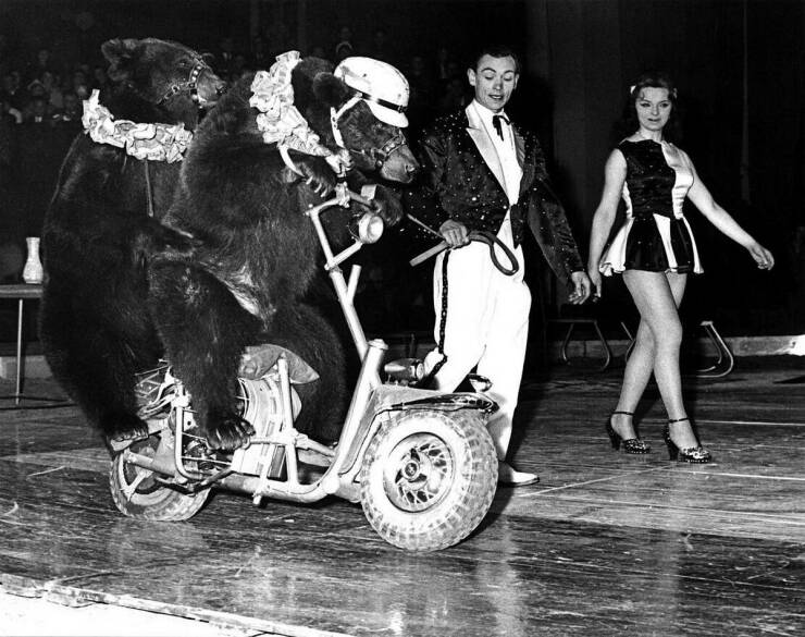 Daily Picdump Daily Picdump