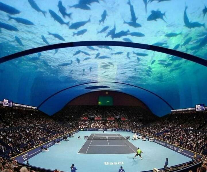 Daily Picdump Daily Picdump