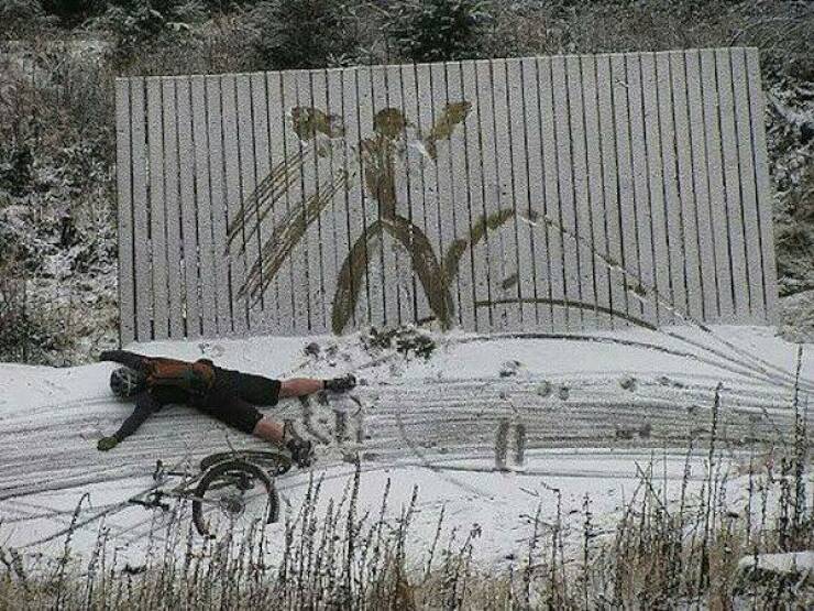 Daily Picdump Daily Picdump