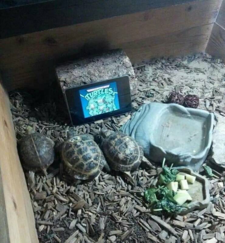 Daily Picdump Daily Picdump