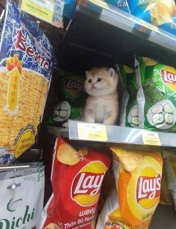 Daily Picdump Daily Picdump