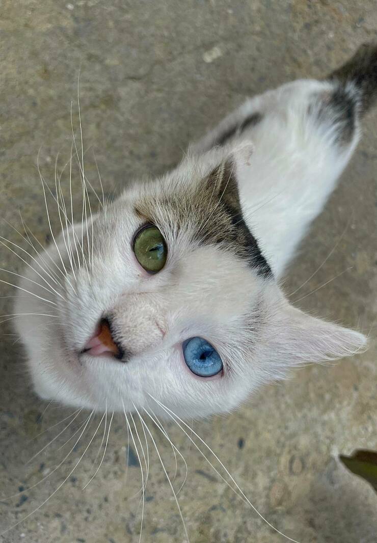 Daily Picdump Daily Picdump