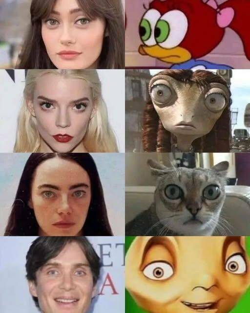 Funny Picdump Funny Picdump