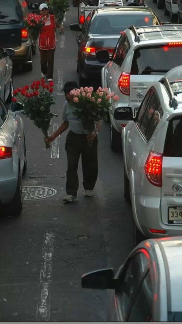 Heartwarming Pics That Restore Faith in Humanity Heartwarming Pics That Restore Faith in Humanity