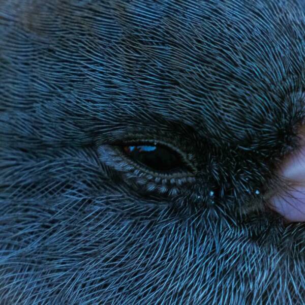 Mind-Bending Photos That Prove Reality Has No Chill