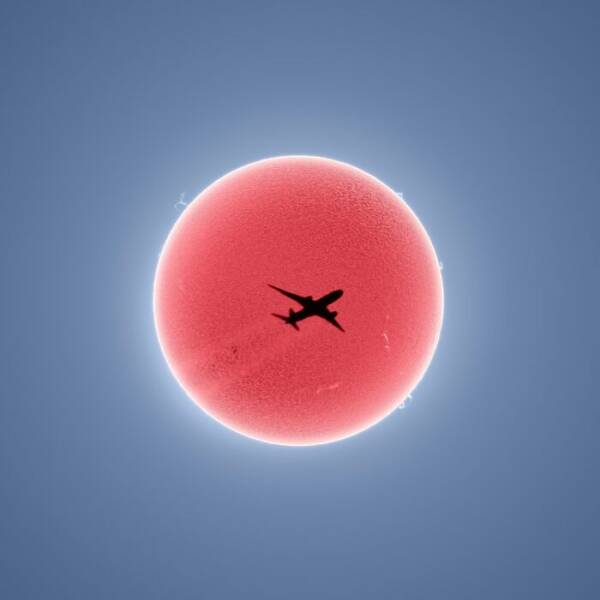 Mind-Bending Photos That Prove Reality Has No Chill
