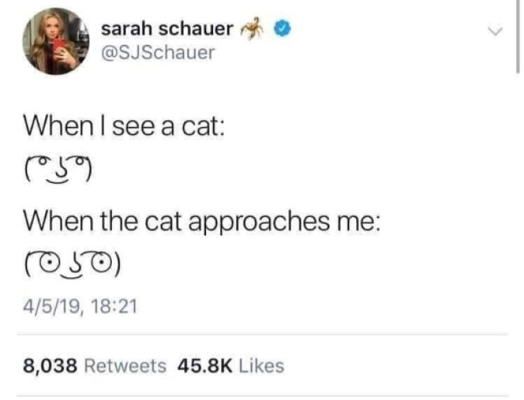 Pure Joy Captured in a Frame Pure Joy Captured in a Frame