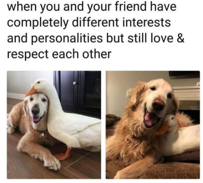 Pure Joy Captured in a Frame Pure Joy Captured in a Frame