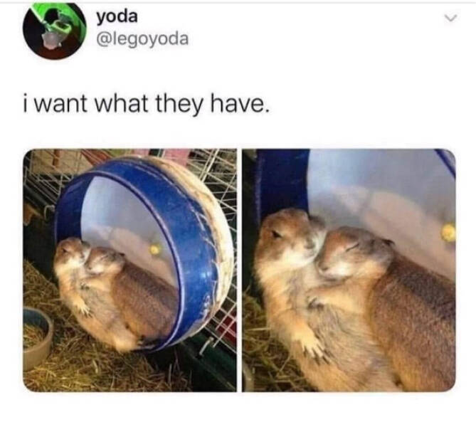 Pure Joy Captured in a Frame Pure Joy Captured in a Frame