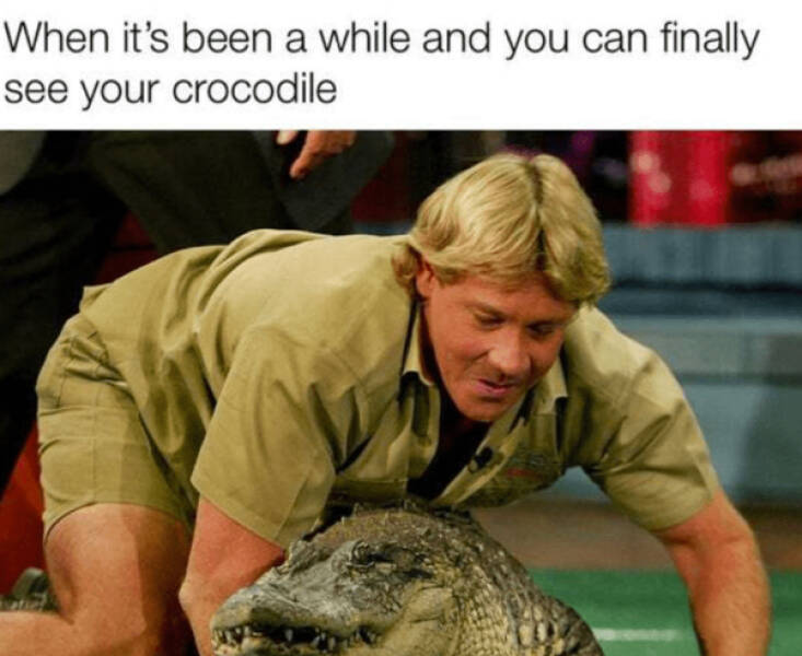 Pure Joy Captured in a Frame Pure Joy Captured in a Frame