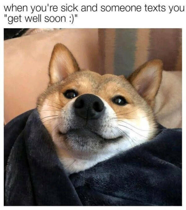 Pure Joy Captured in a Frame Pure Joy Captured in a Frame