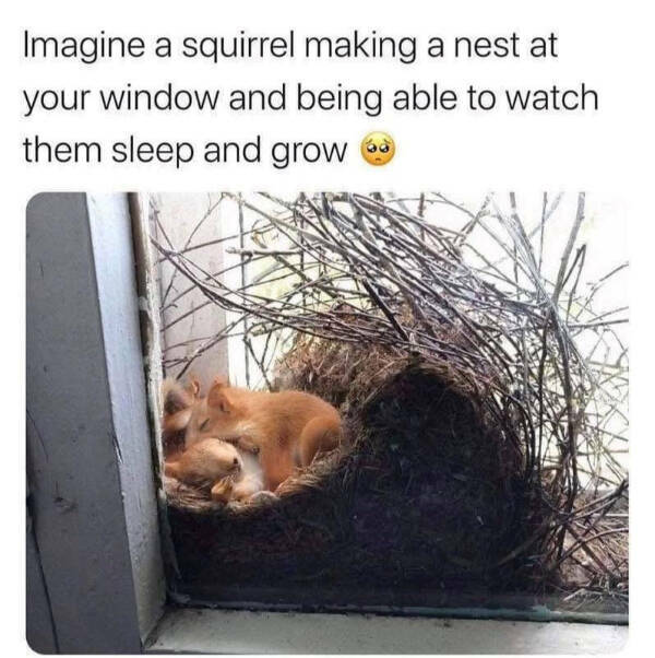 Pure Joy Captured in a Frame Pure Joy Captured in a Frame