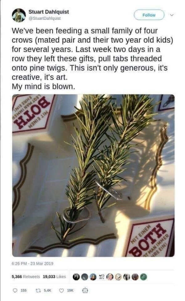 Pure Joy Captured in a Frame Pure Joy Captured in a Frame