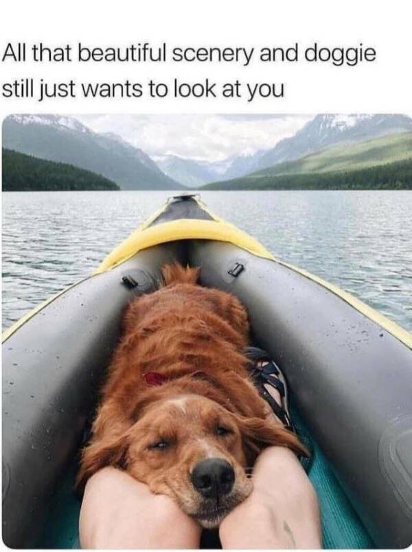 Pure Joy Captured in a Frame Pure Joy Captured in a Frame