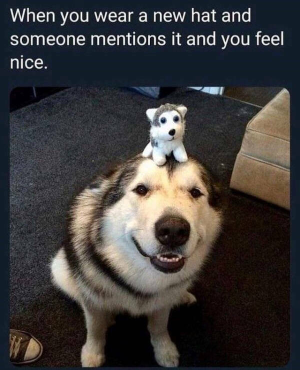 Pure Joy Captured in a Frame Pure Joy Captured in a Frame