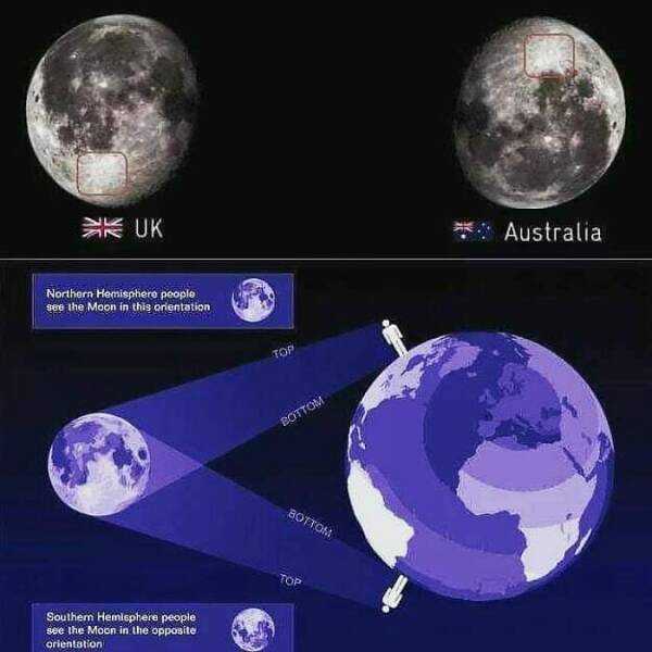 Surprisingly Fascinating Maps and Charts You’ll Want to Share