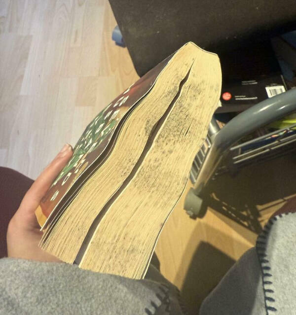 When Lending Goes Horribly Wrong