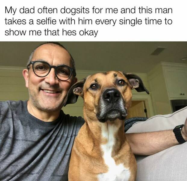 Your Daily Bark of Joy Your Daily Bark of Joy