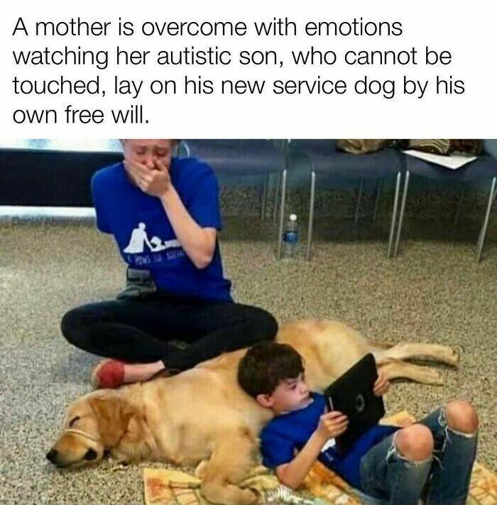 Your Daily Bark of Joy Your Daily Bark of Joy