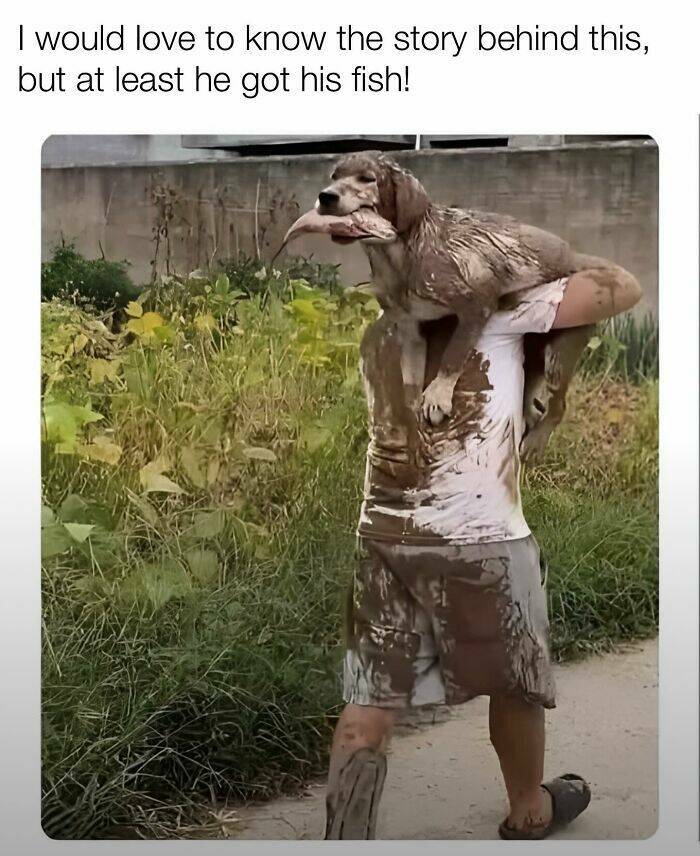 Your Daily Bark of Joy Your Daily Bark of Joy