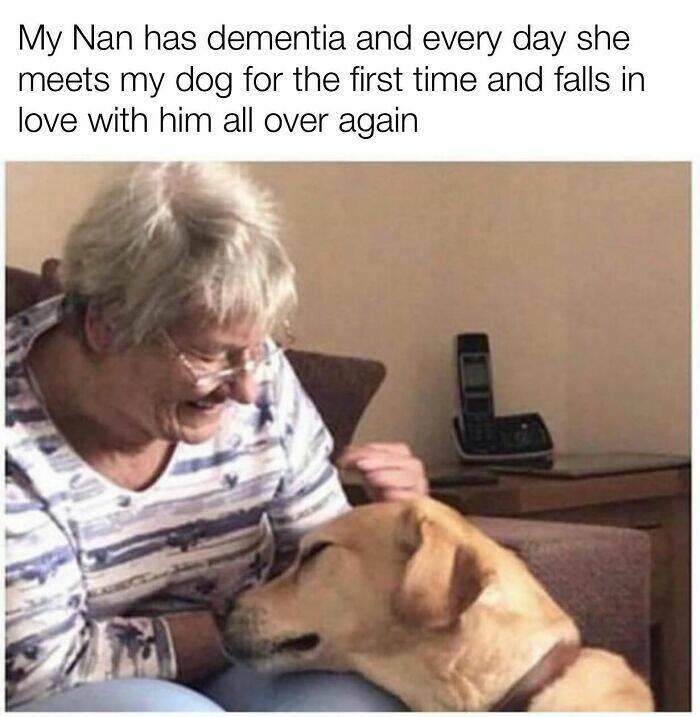 Your Daily Bark of Joy Your Daily Bark of Joy