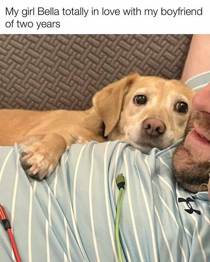 Your Daily Bark of Joy Your Daily Bark of Joy