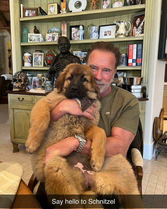 Your Daily Bark of Joy Your Daily Bark of Joy