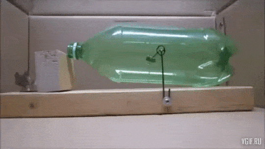 Daily Gifdump Daily Gifdump