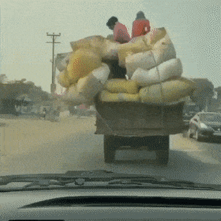 Daily Gifdump Daily Gifdump