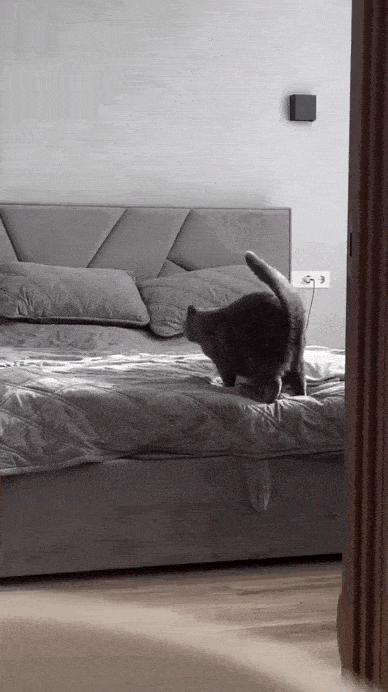 Daily Gifdump Daily Gifdump