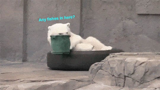 Daily Gifdump Daily Gifdump