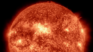 Unexpected Trivia to Drop at Dinner Parties