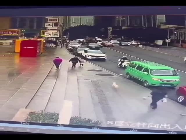 Lost Dog Catches The Scent Of Owner In A Crowded Square
