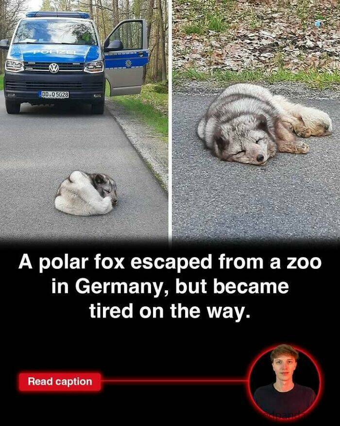 Fascinating News from Around the World You’ll Actually Want to Read Fascinating News from Around the World You’ll Actually Want to Read