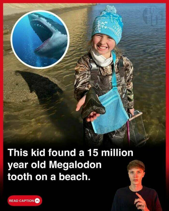 Fascinating News from Around the World You’ll Actually Want to Read Fascinating News from Around the World You’ll Actually Want to Read