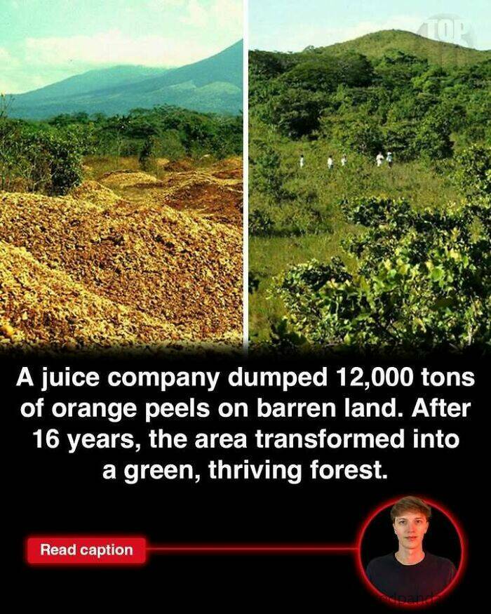 Fascinating News from Around the World You’ll Actually Want to Read Fascinating News from Around the World You’ll Actually Want to Read