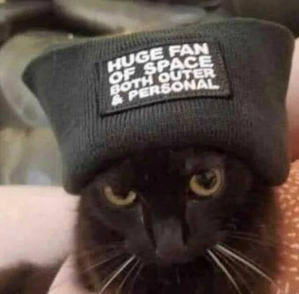 Funny Picdump Funny Picdump