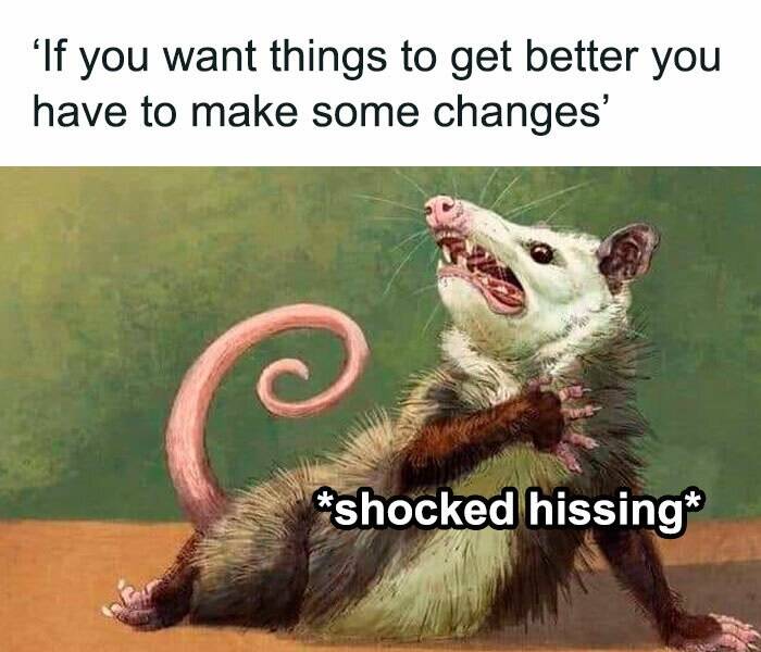 Funny Picdump Funny Picdump