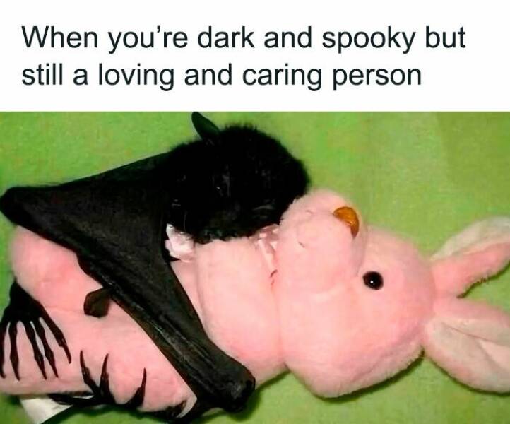 Funny Picdump Funny Picdump