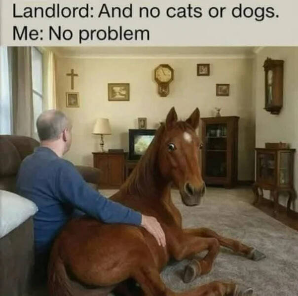 Funny Picdump Funny Picdump