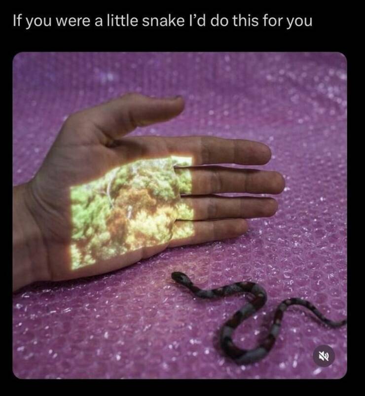 Funny Picdump Funny Picdump