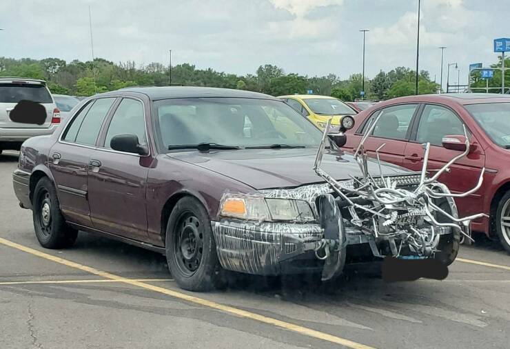 Morning Picdump Morning Picdump