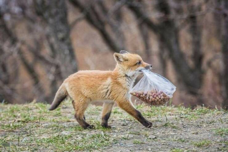 Daily Picdump Daily Picdump